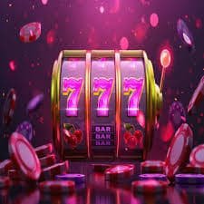 g570 Fortune Dragon Live Room